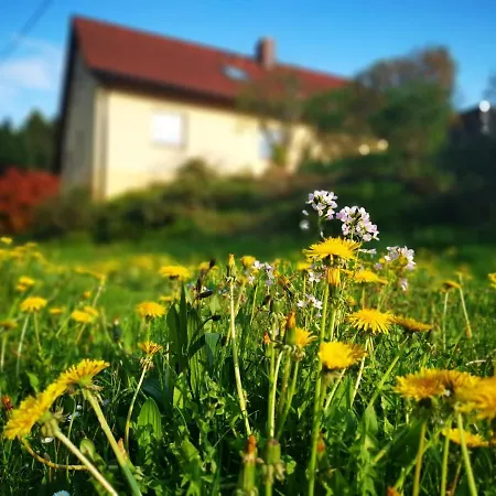 Gisela Appartamento Steinigtwolmsdorf